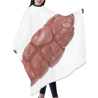 Personality  Beef Kidney.Isolated. Hair Cutting Cape