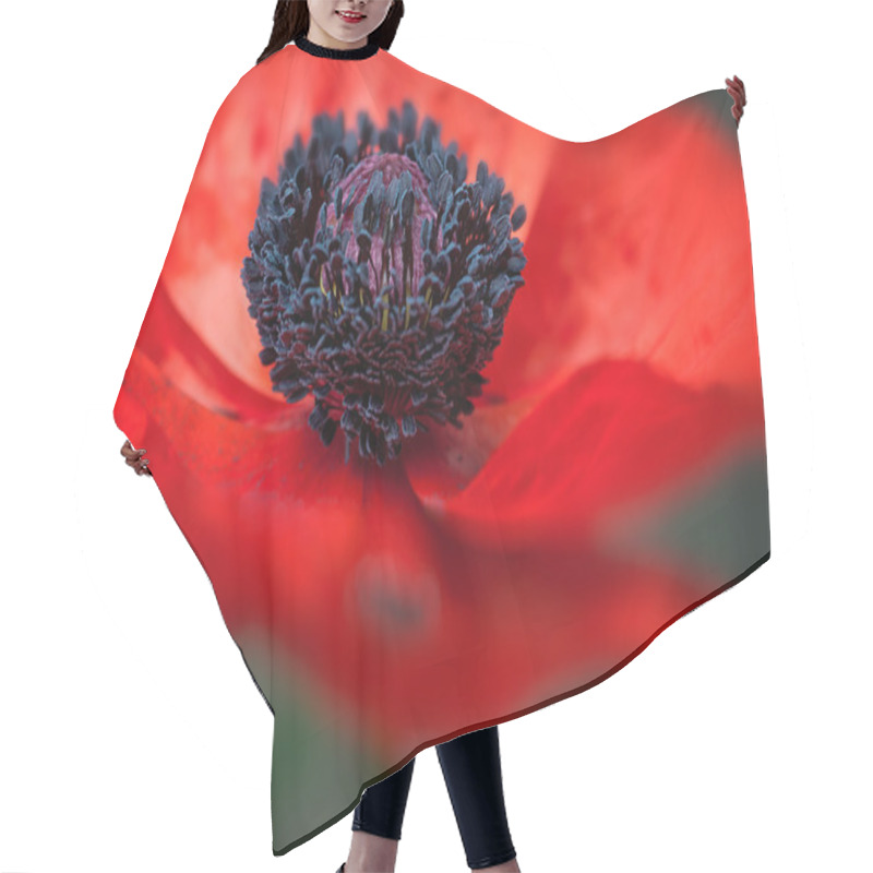 Personality  Poppy Macro - Soft Background Hair Cutting Cape