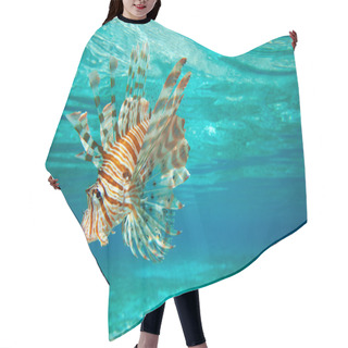 Personality  Lion Fish  Swimming Hair Cutting Cape