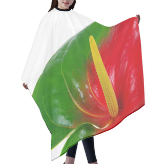 Personality  Anthurium 26 Hair Cutting Cape