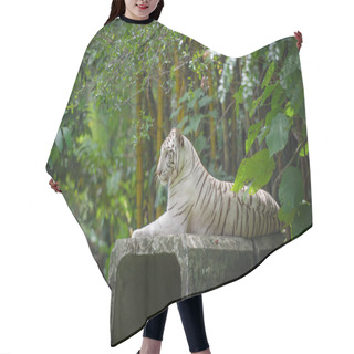 Personality  White Bengal Tiger Hair Cutting Cape
