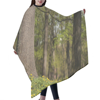 Personality  In The Woods Hair Cutting Cape