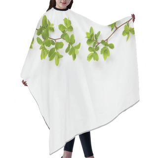 Personality  Top View Of Branches With Blooming Green Leaves On White Background Hair Cutting Cape