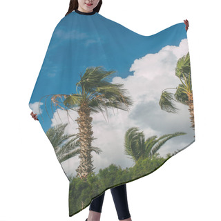 Personality  Green Palm Trees Against Blue Sky With Clouds  Hair Cutting Cape