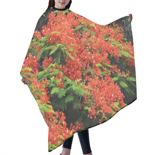 Personality  Peacock Flowers Hair Cutting Cape