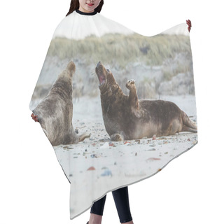 Personality  Very Cute Seals On The Beach  Hair Cutting Cape