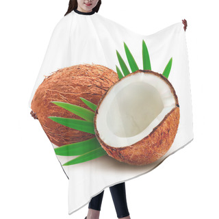 Personality  Coconut With Leaves. Vector.  Hair Cutting Cape