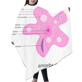 Personality  Amoeba Structure Hair Cutting Cape