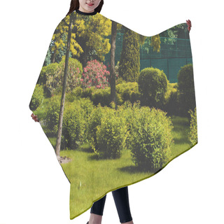 Personality  Beautiful Park With Trees, Shrubs And Green Lawns, Landscape Summer Design Hair Cutting Cape