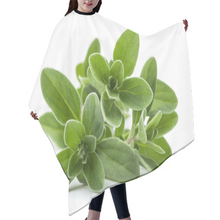 Personality  Marjoram  Hair Cutting Cape