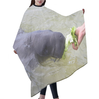 Personality  Feeding Manatee Hair Cutting Cape