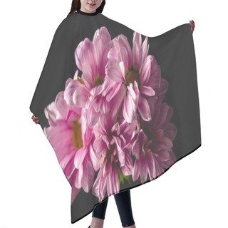 Personality  Close-up View Of Beautiful Pink Chrysanthemum Flowers Isolated On Black   Hair Cutting Cape