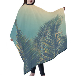 Personality  Palm Tree Leaves And The Sky, Summertime Travel Background Hair Cutting Cape