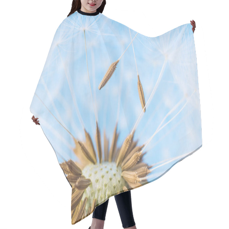 Personality  Dandelion abstract background. White blowball over blue sky hair cutting cape