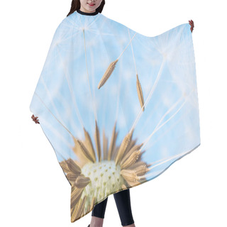 Personality  Dandelion Abstract Background. White Blowball Over Blue Sky Hair Cutting Cape