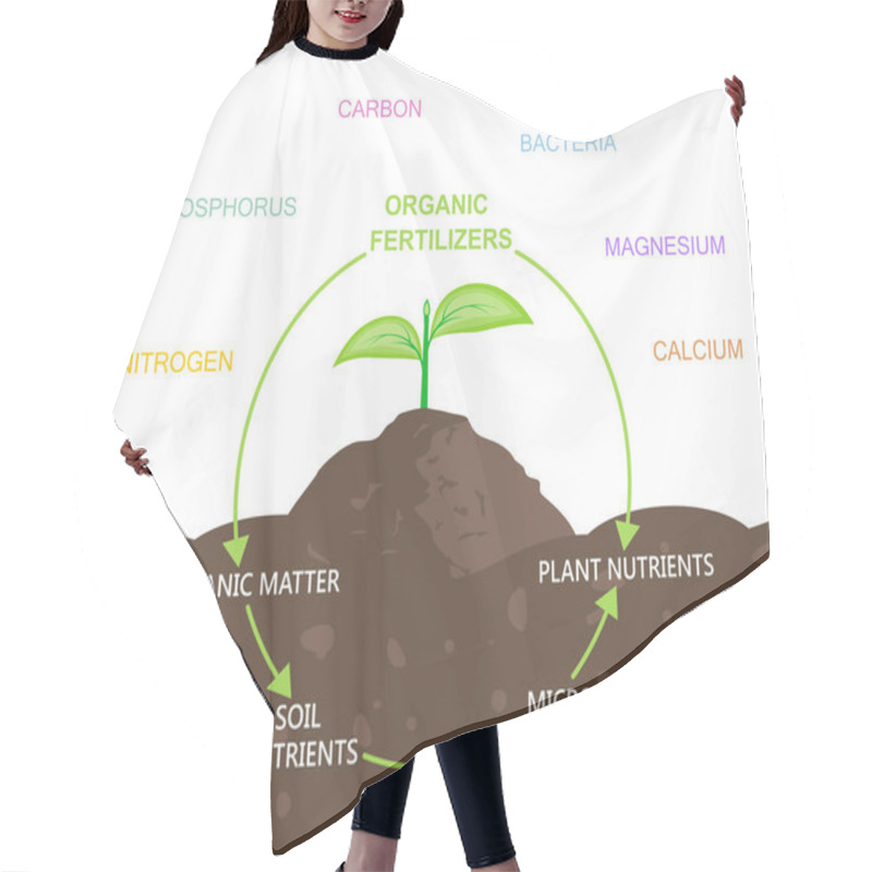 Personality  Diagram Of Nutrients In Organic Fertilizers Hair Cutting Cape
