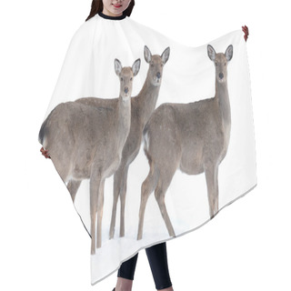 Personality  Three Real Deer In The Snow On A White Background Hair Cutting Cape