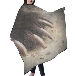 Personality  Brown Bear Jaws Hair Cutting Cape