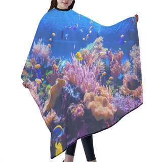 Personality  Tropical Fish On A Coral Reef Hair Cutting Cape