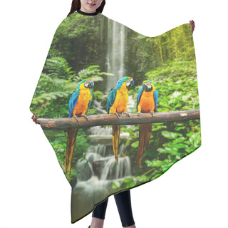 Personality  Blue-and-Yellow Macaw Hair Cutting Cape