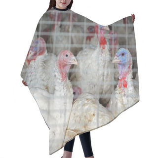 Personality  Turkey Pen Hair Cutting Cape