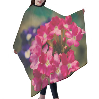 Personality  Close-up Of Pink Flowers With Detailed Petals, Surrounded By Rich Greenery. Hair Cutting Cape
