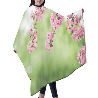Personality  Close-up Shot Of Pink Cherry Blossom On Green Natural Background Hair Cutting Cape
