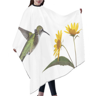 Personality  Hummingbird And A Sunflower Hair Cutting Cape