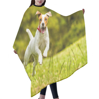 Personality  Jack Russell Parson Terrier Dog Hair Cutting Cape