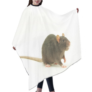 Personality  Rat Hair Cutting Cape