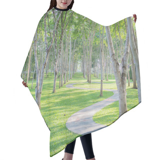 Personality  Tree In Garden Background  Hair Cutting Cape
