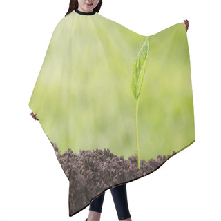 Personality  Growth Concept Hair Cutting Cape
