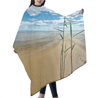 Personality  Reeds On The Shore Of Lake Hair Cutting Cape