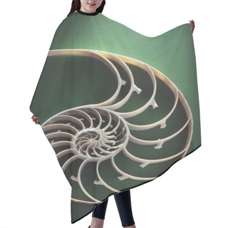 Personality  Nautilus Spiral Shell Section Hair Cutting Cape