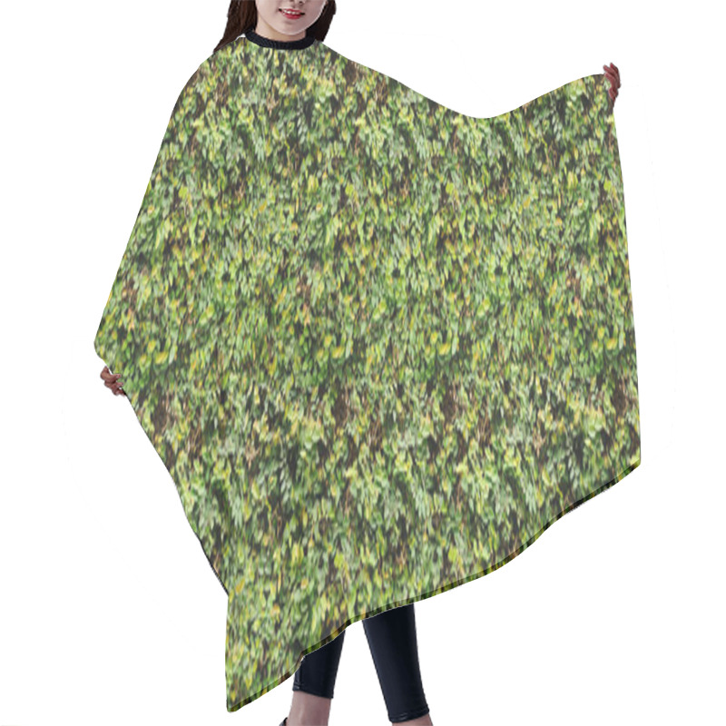 Personality  living green wall - exterior hair cutting cape