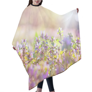 Personality  Flowering Purple Meadow Flowers In Spring Hair Cutting Cape
