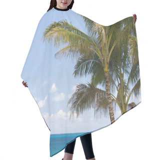 Personality  Palm Trees And Tropical Waters Hair Cutting Cape