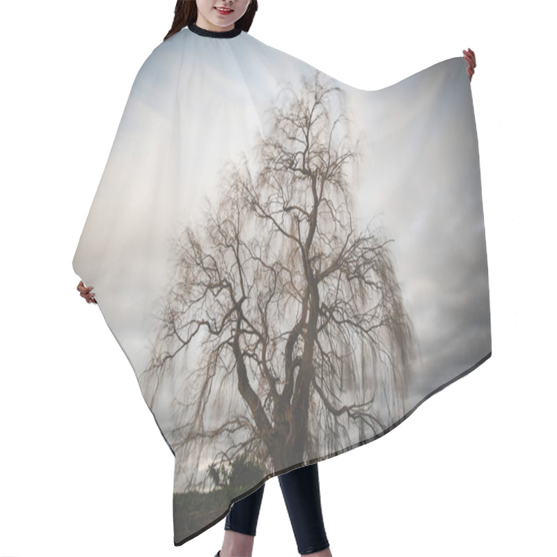 Personality  Long Exposure Image Over An Old Weeping Willow Tree Hair Cutting Cape