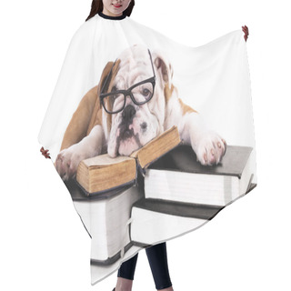 Personality  Group Dog Hair Cutting Cape
