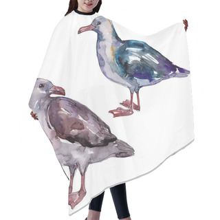 Personality  Sky Bird Seagull In A Wildlife. Wild Freedom, Bird With A Flying Wings. Watercolor Background Illustration Set. Watercolour Drawing Fashion Aquarelle. Isolated Gull Illustration Element. Hair Cutting Cape