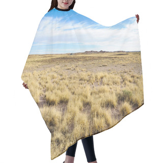Personality  Petrified Forest National Park Hair Cutting Cape