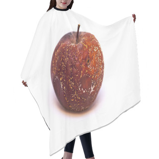 Personality  Withered Apple Hair Cutting Cape