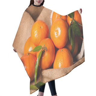 Personality  Clementine Still Life Hair Cutting Cape