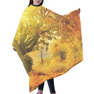 Personality  Autumn Forest With Sun Beam Hair Cutting Cape