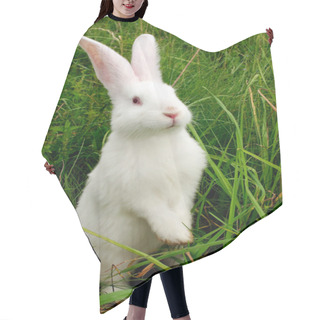 Personality  Cute White Rabbit Standing On Hind Legs Hair Cutting Cape