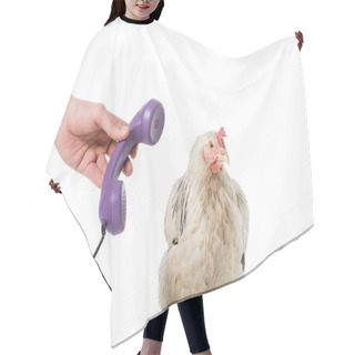 Personality  Cropped Shot Of Person Giving Handset To Chicken Isolated On White Hair Cutting Cape
