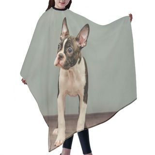 Personality  Black And White Boston Terrier, On A Green Background Hair Cutting Cape