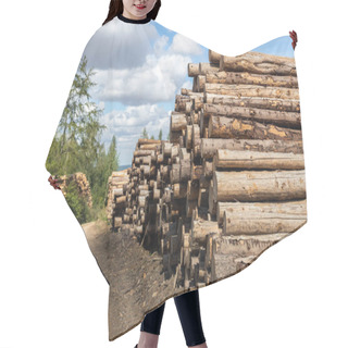 Personality  Big Pile Of Wooden Timber Pine Logs Stacked Near Dirt Road Countryside Against Blue Sky And Forest. Sawmill Woods Cutting Industry. Illegal Deforestation. Firewood Logging For Winter Heating. Hair Cutting Cape