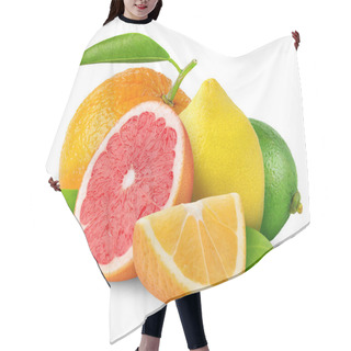 Personality  Citrus Fruits Hair Cutting Cape
