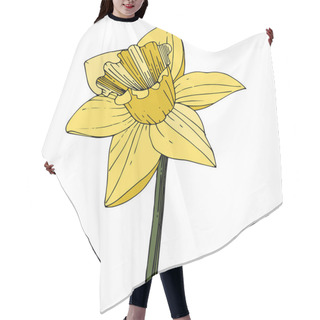 Personality  Vector Narcissus. Floral Botanical Flower. Yellow Engraved Ink Art. Isolated Narcissus Illustration Element On White Background. Hair Cutting Cape